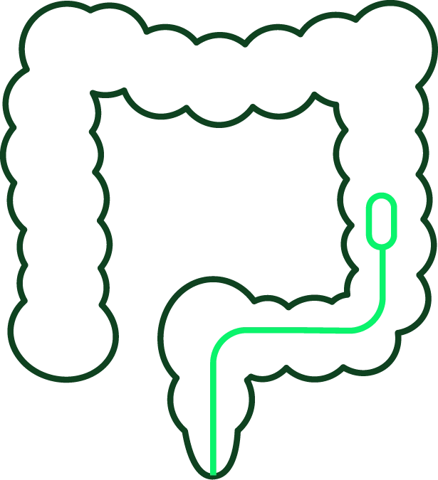 בדיקה קלינית מלאה